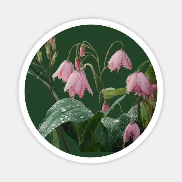 The Droplets add a Fresh and Delicate Touch to the Flowers and Their Green Leaves Magnet by animegirlnft